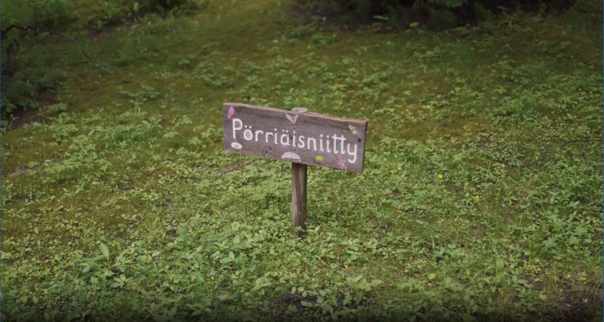 Hawkhill pörriäisniitty2.png